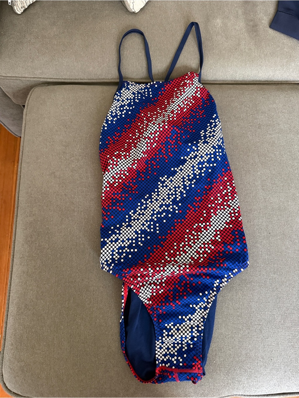 Speedo Navy Blue Red Dot Swim Briefs